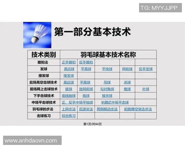 赵丽独家揭秘足球技巧与心得分享助你提升球技与战术理解
