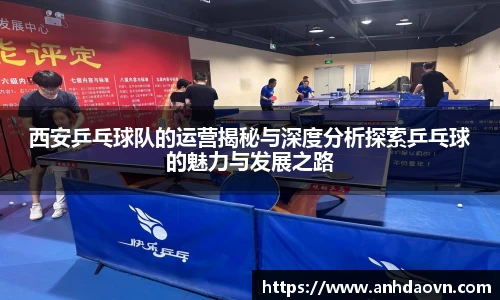 西安乒乓球队的运营揭秘与深度分析探索乒乓球的魅力与发展之路